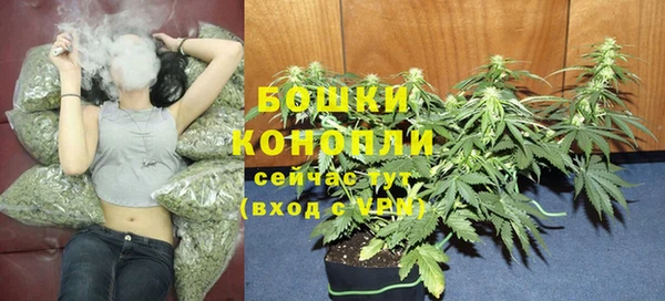 стафф Козельск