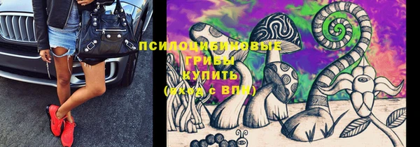 стафф Козельск