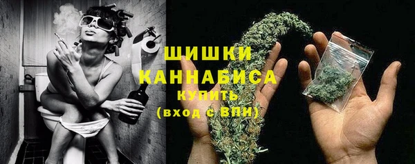 стафф Козельск