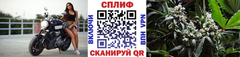 Марихуана OG Kush  omg вход  Ильский 